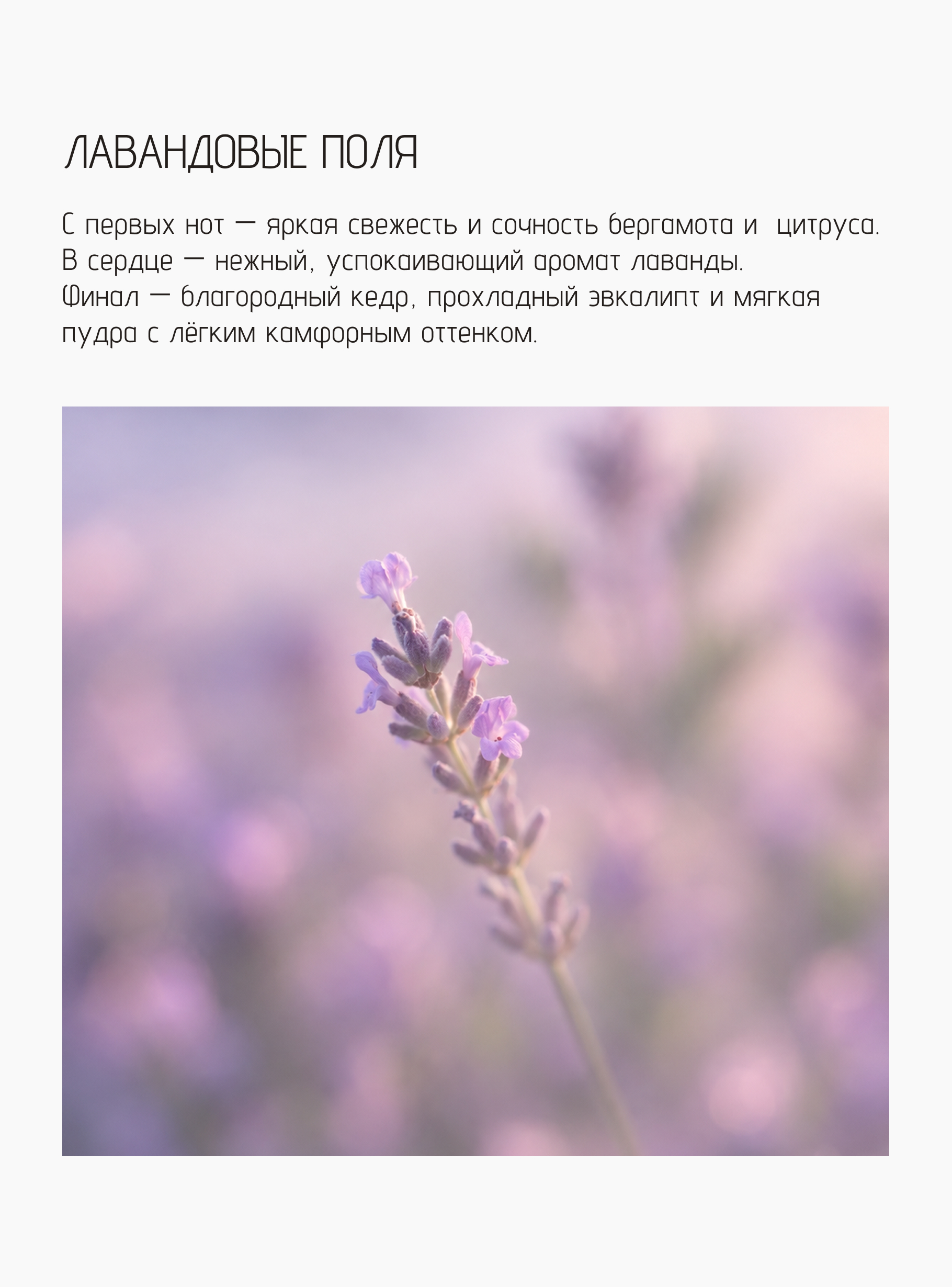 Свеча Лавандовые поля