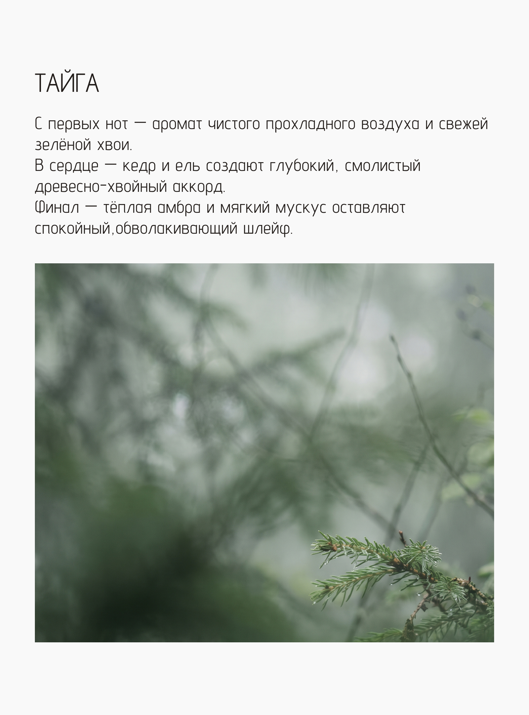 Свеча Тайга