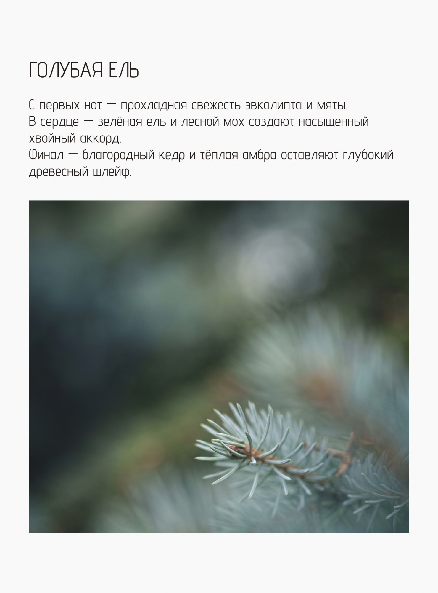 Свеча Голубая ель