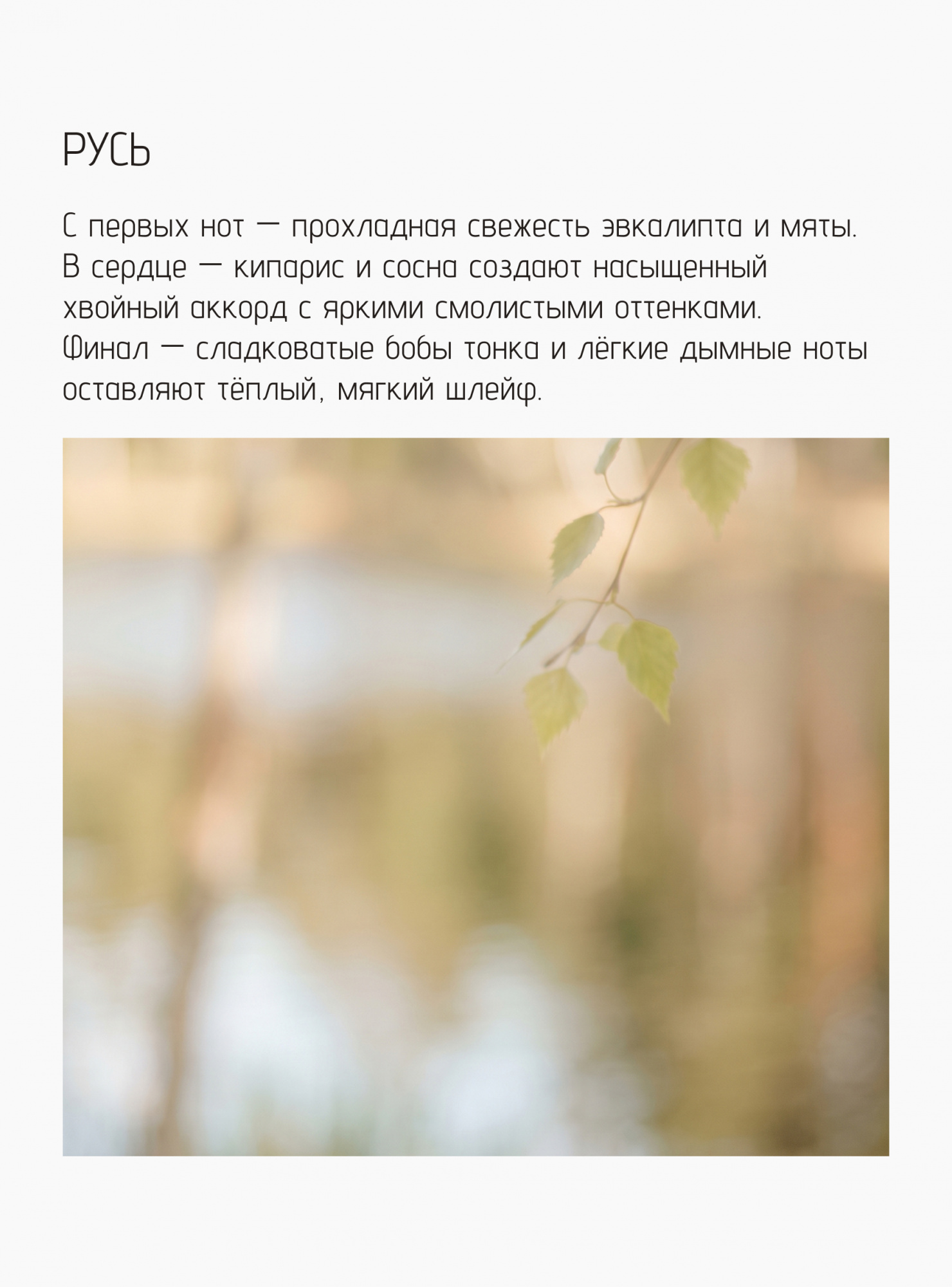 Свеча Русь