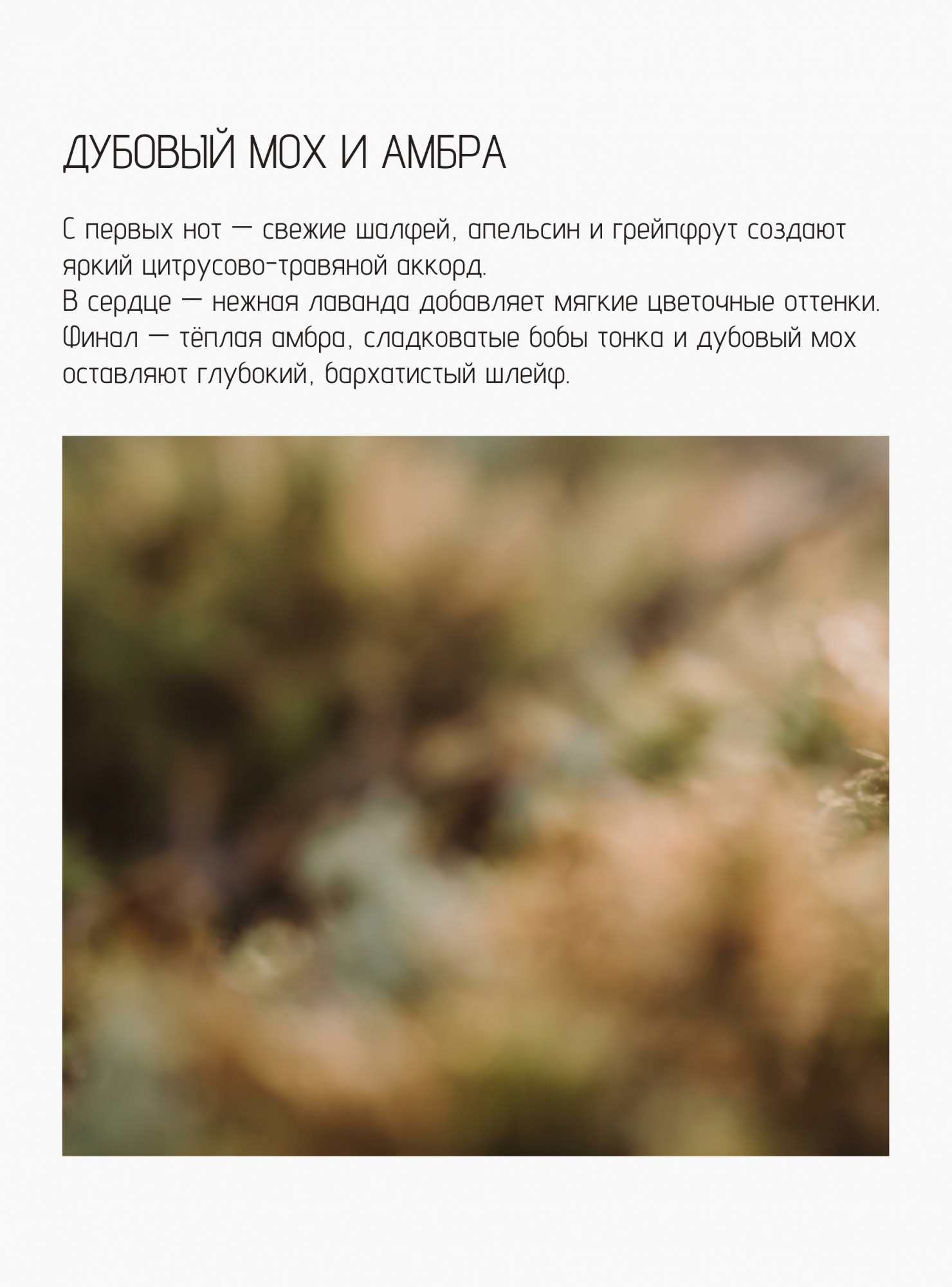 Свеча Дубовый мох и амбра